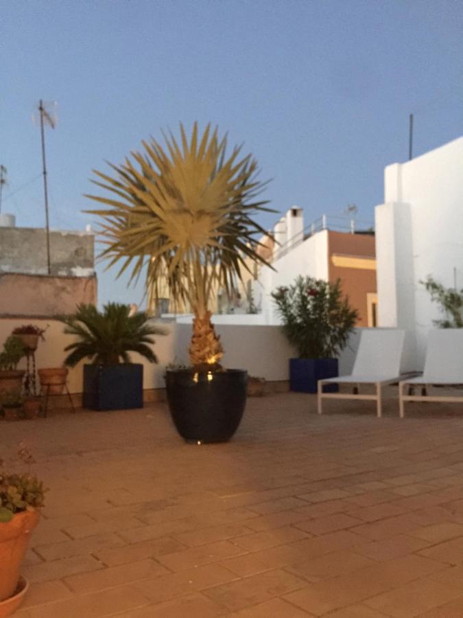 Appartamento La Terraza De San Pedro Cadice Esterno foto